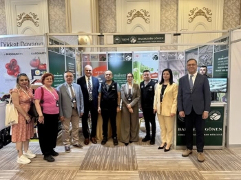 Sera Konstrüksiyon, Dona